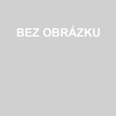 Saténový motýl svatební boty boční duté jehlové vysoké podpatky zelené družičky boty